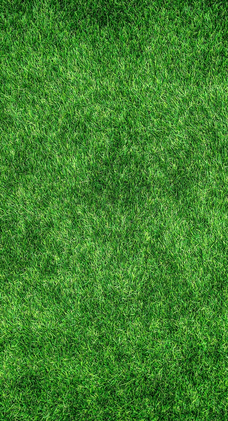 Live eco-consciously